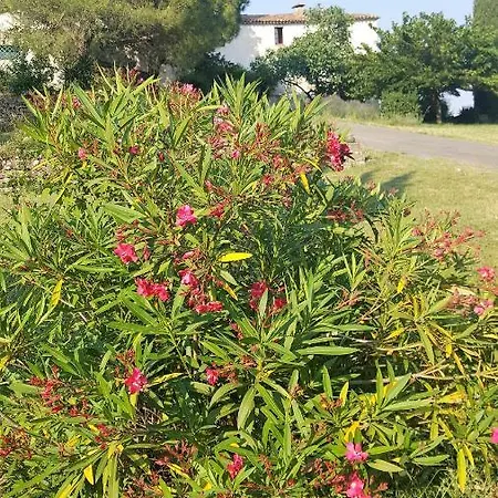 Tatil Evi - Mas De Louise